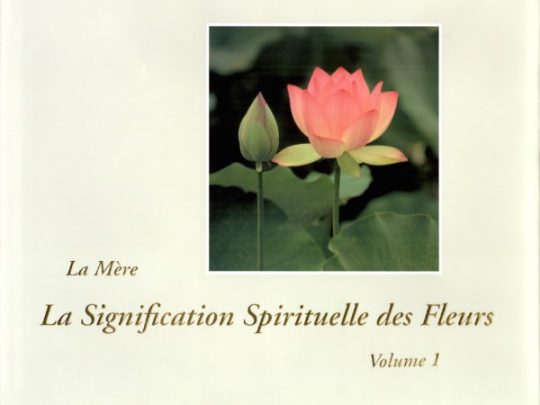 La signification spirituelle des fleurs