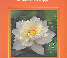 Les fleurs et leurs messages - La Mère