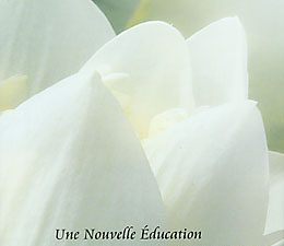 Une nouvelle éducation pour une nouvelle conscience - extrait des oeuvres de Sri Aurobindo et de la Mère abimé-70%